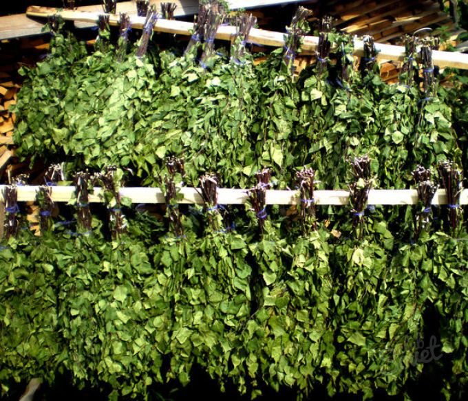 Ассортимент веников